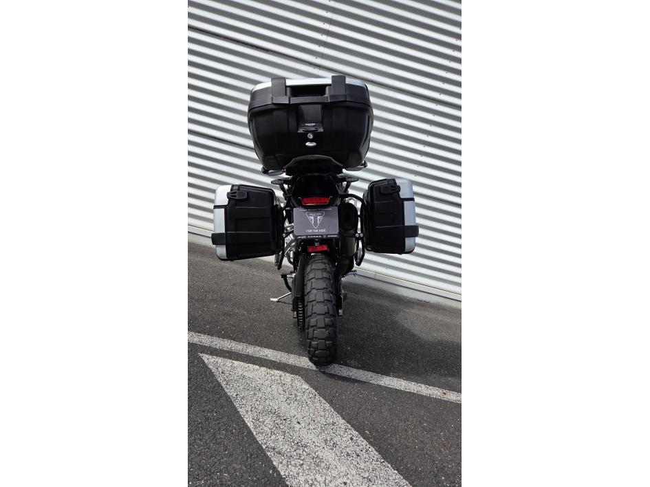 TRIUMPH TIGER 900 RALLY PRO