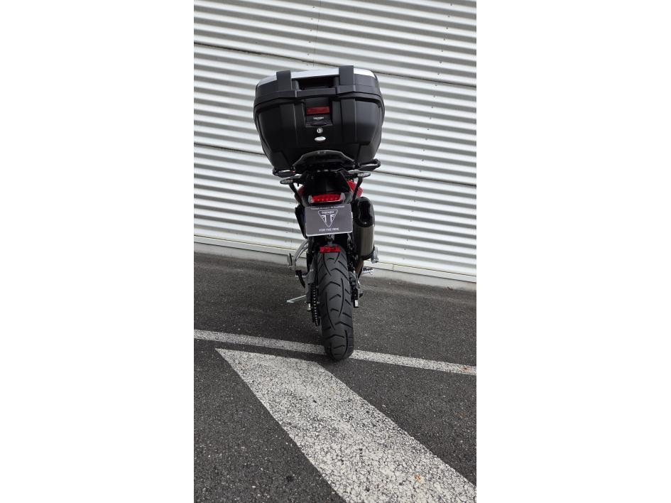 TRIUMPH Tiger 900 GT PRO