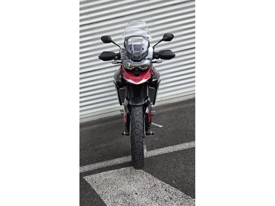 TRIUMPH Tiger 900 GT PRO